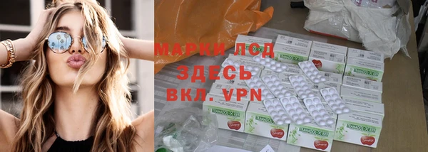 гашиш Богданович