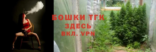 гашиш Богданович