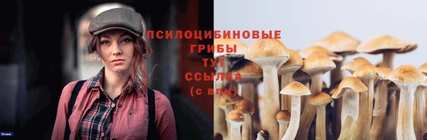 гашик Богородицк