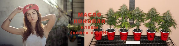 гашиш Богданович
