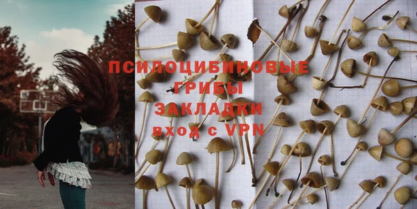 гашиш Богданович