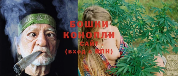 гашик Богородицк