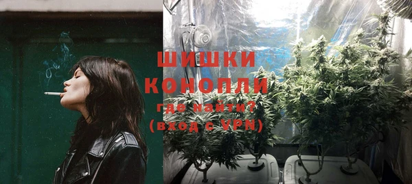 гашиш Богданович