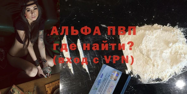 гашиш Богданович