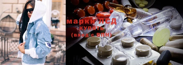 гашиш Богданович