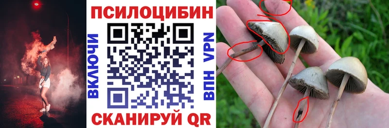 даркнет сайт  Кирс  Галлюциногенные грибы мицелий 
